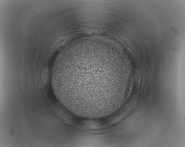 X0000113880511200910081749