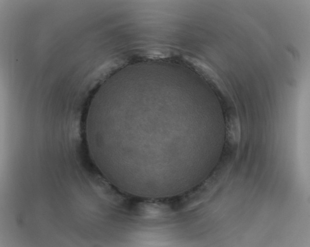 X0000113880512200910081749