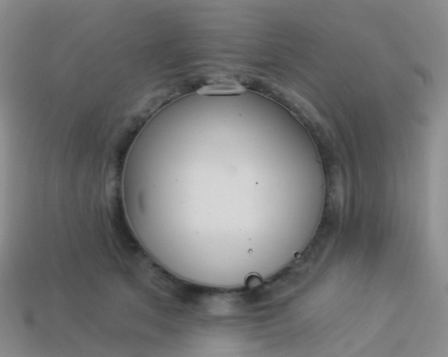 X0000113880513200910081749