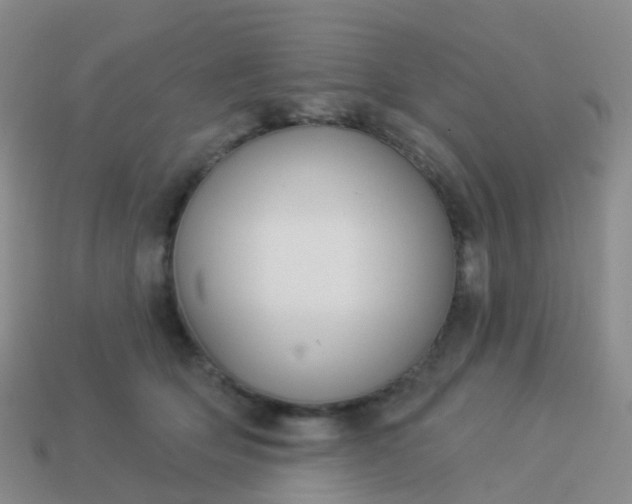 X0000113880514200910081749