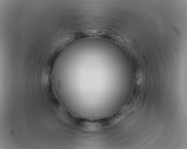 X0000113880515200910081749