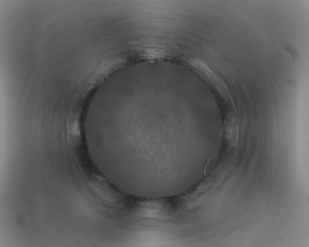 X0000113880516200910081749