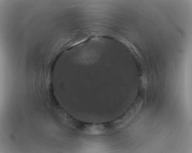 X0000113880517200910081749