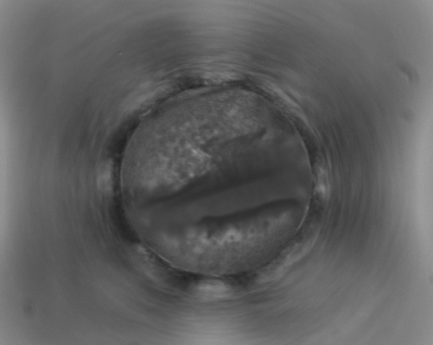 X0000113880519200910081749