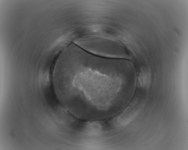 X0000113880520200910081749