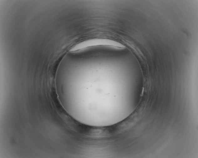 X0000113880521200910081749