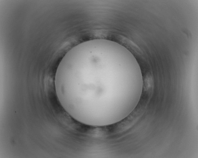 X0000113880522200910081749