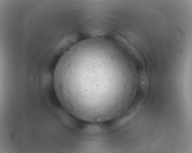 X0000113880523200910081749