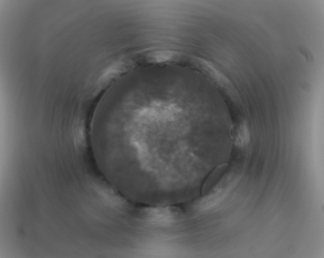 X0000113880524200910081749