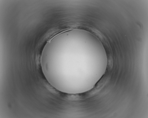 X0000113880525200910081749