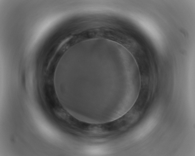 X0000113880526200910081749