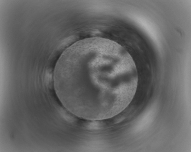 X0000113880527200910081749