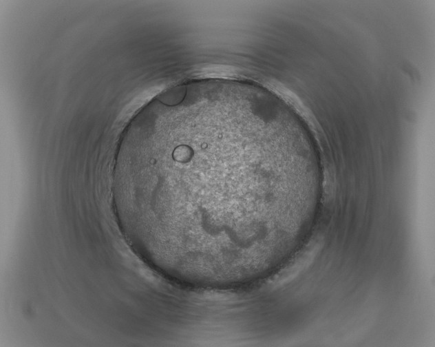 X0000113880529200910081748