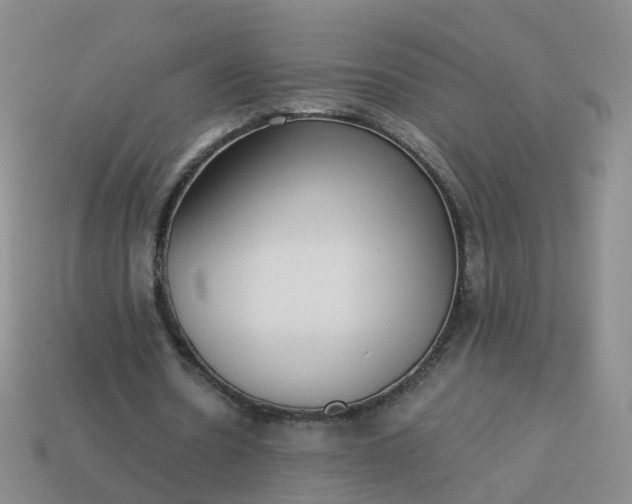 X0000113880530200910081748