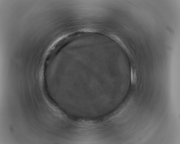 X0000113880531200910081748