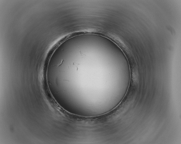 X0000113880532200910081748