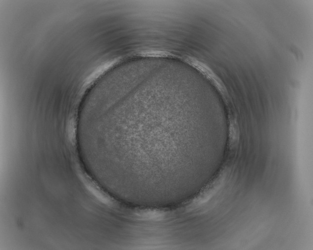 X0000113880533200910081748