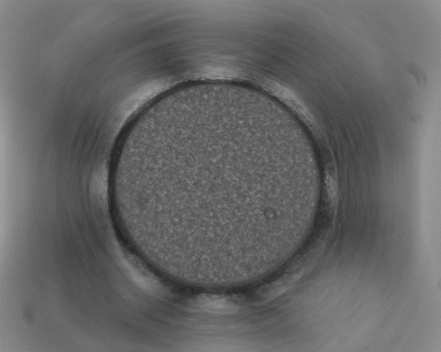 X0000113880534200910081748