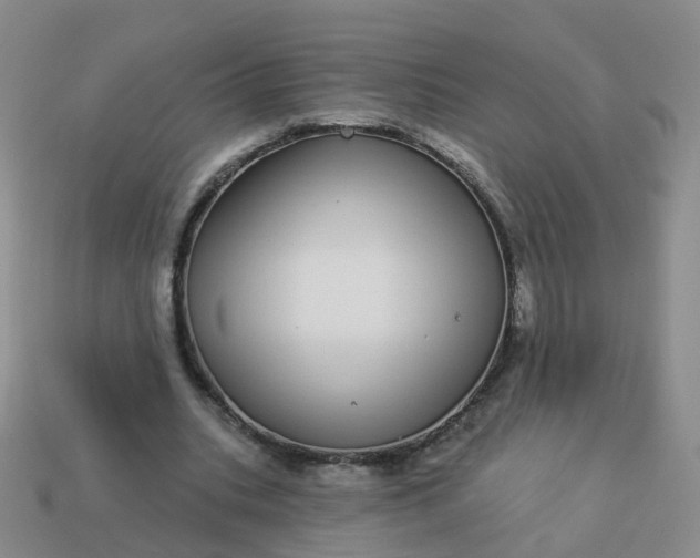 X0000113880535200910081749