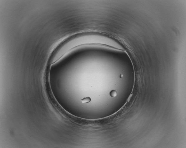 X0000113880536200910081749