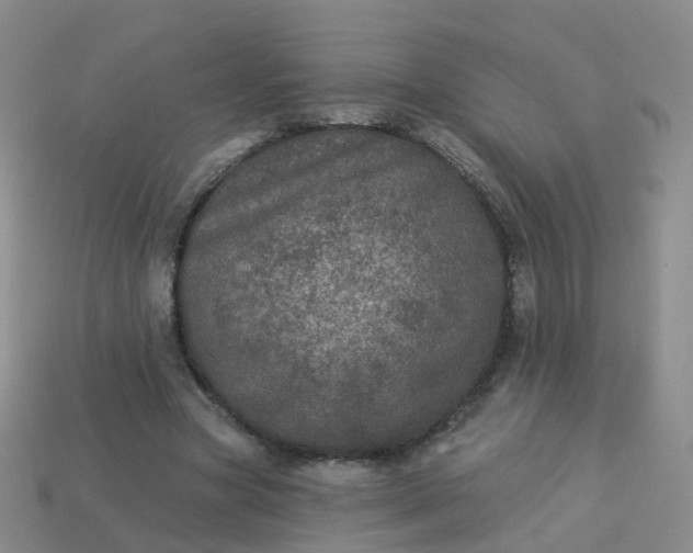 X0000113880537200910081749