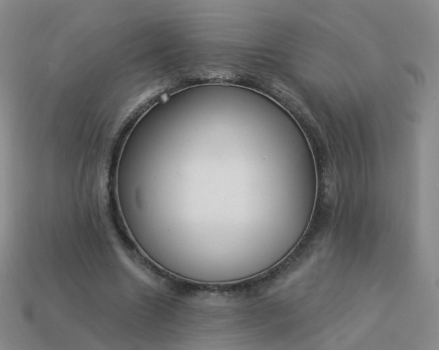 X0000113880538200910081749