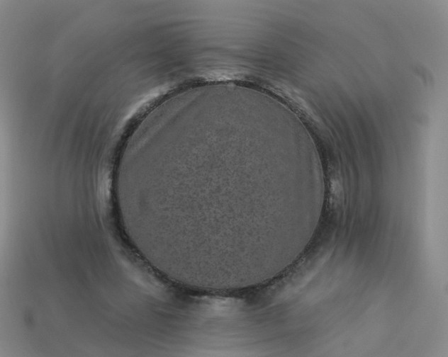 X0000113880539200910081749