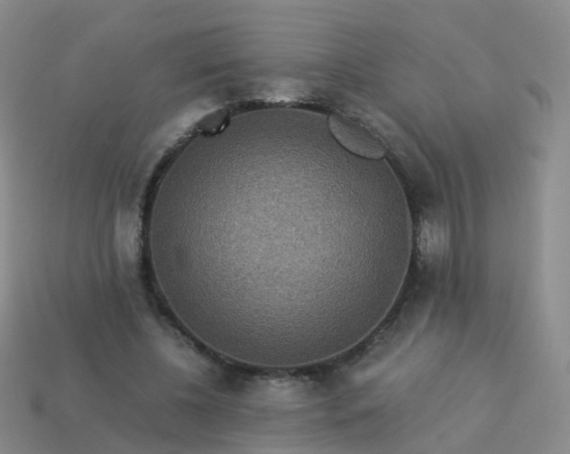 X0000113880540200910081749