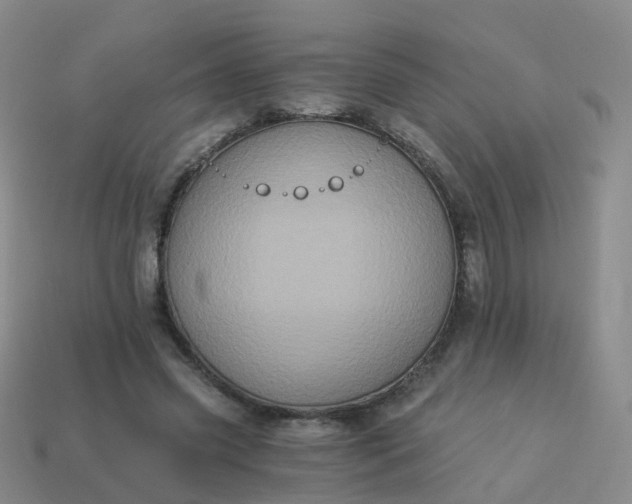 X0000113880541200910081749