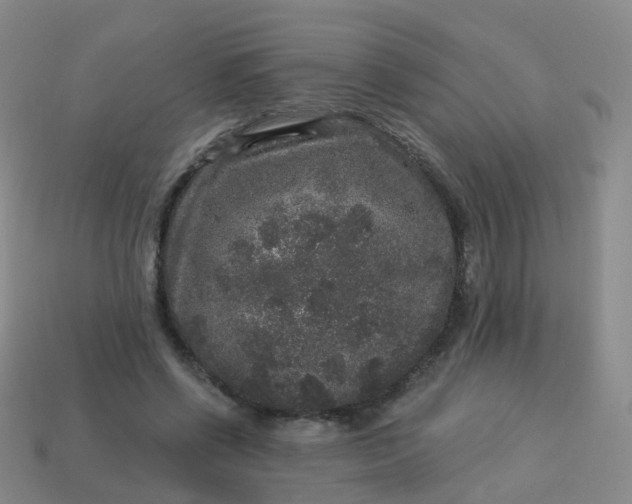 X0000113880542200910081749