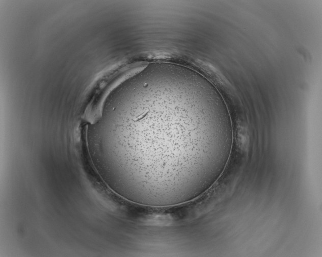 X0000113880543200910081749