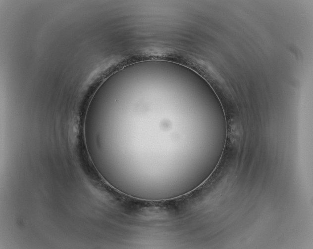 X0000113880544200910081749