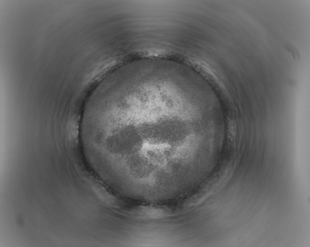 X0000113880545200910081749