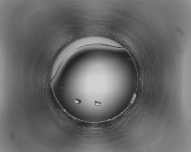 X0000113880546200910081749