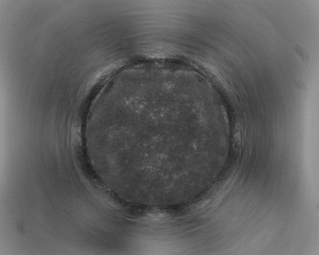 X0000113880547200910081749