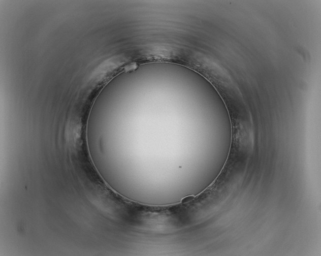 X0000113880548200910081749