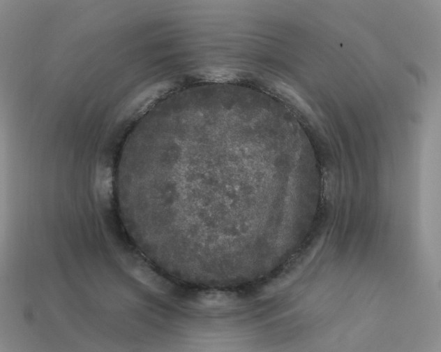 X0000113880549200910081749