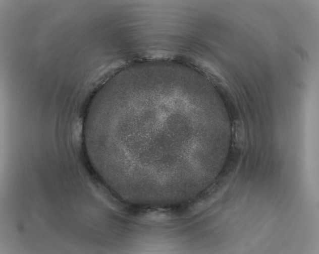 X0000113880550200910081749