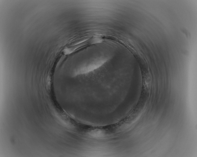 X0000113880551200910081749