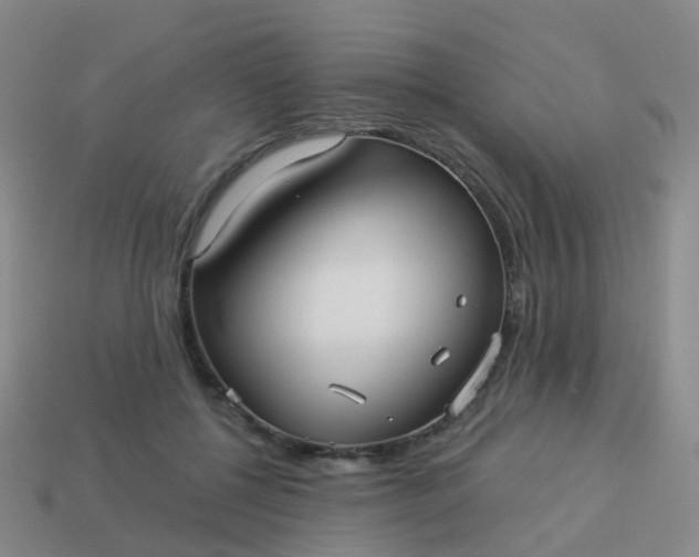 X0000113880552200910081749