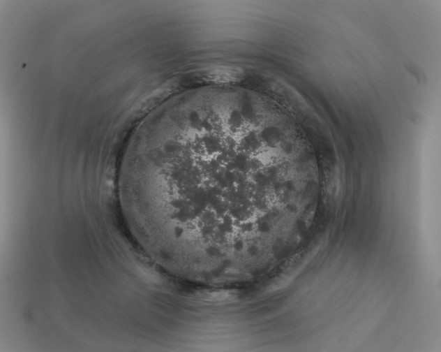 X0000113880553200910081749