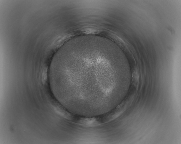 X0000113880554200910081749