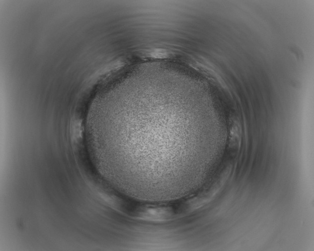 X0000113880555200910081749