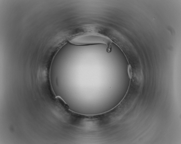 X0000113880556200910081749