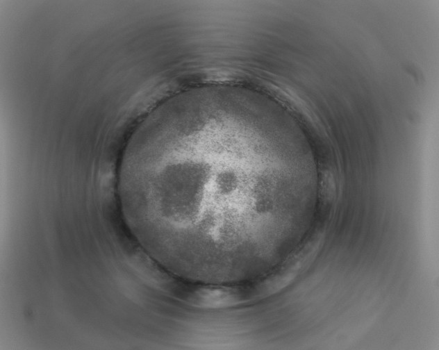 X0000113880557200910081749