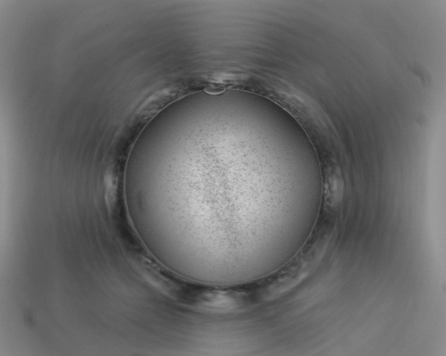 X0000113880558200910081749