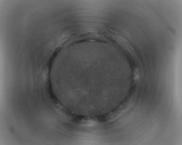 X0000113880559200910081749