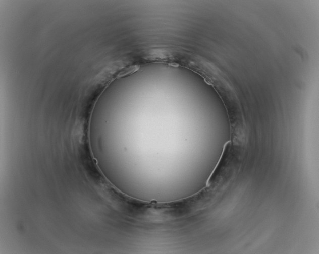 X0000113880560200910081749