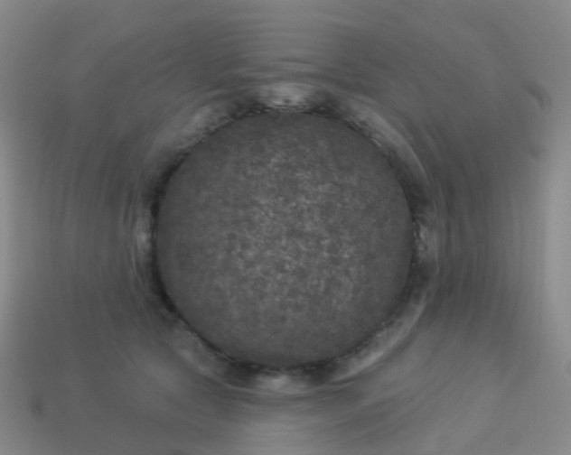 X0000113880561200910081749