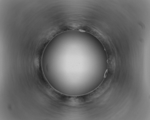 X0000113880562200910081749